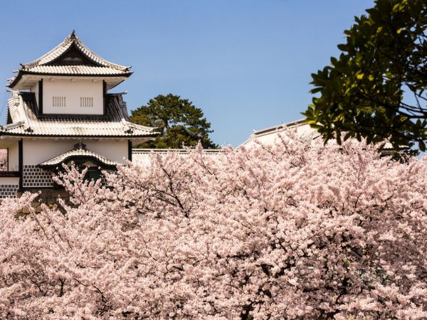 Kanazawa in primavera