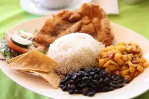 cibo-tipico-costa-rica-gallo-pinto.
