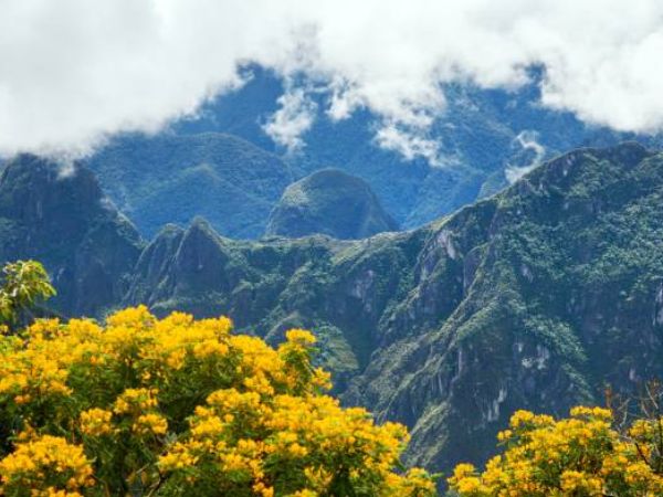 Salkantay Trek