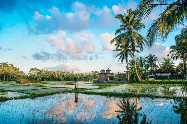 bali-indonesia-acqua-palme-e-colori.