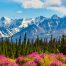 Crociera in Alaska: dove l’aurora danza e la natura si racconta