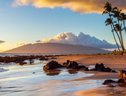 Ci sono luoghi che visiti. E poi c’è Maui, l’isola che ti entra dentro