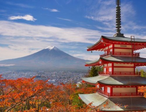 Autunno in Giappone: il fascino del foliage tra templi, giardini e montagne