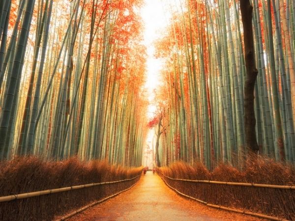 Arashiyama japan