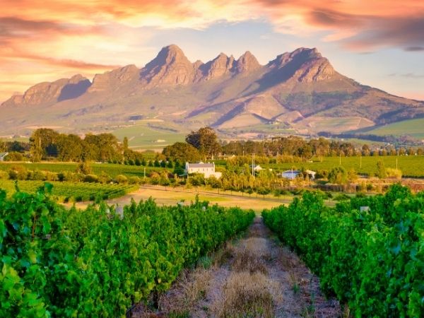 tramonte a Stellenbosch