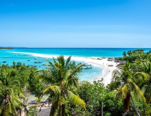Madagascar autentico: lodge eco-luxury tra lemuri e spiagge incontaminate