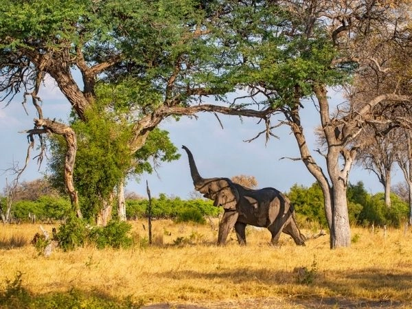 viaggio in tanzania