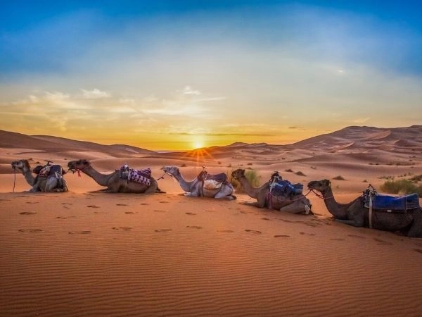 sahara