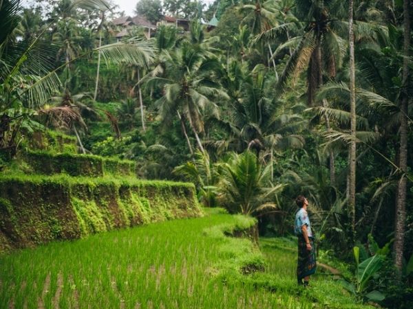 esplorando bali