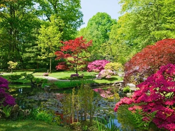 giardini giapponesi
