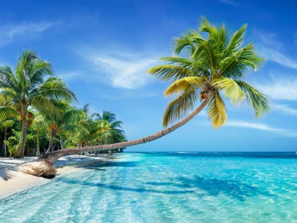 Caraibi