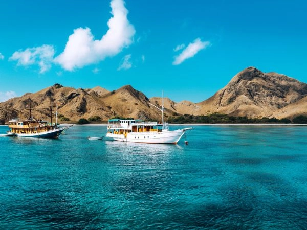 Parco Nazionale di Komodo