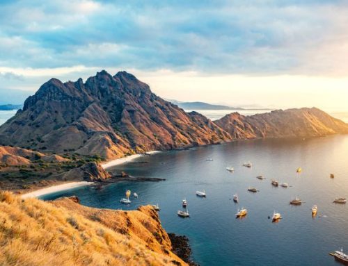 Isola di Komodo e dintorni: un paradiso naturale fuori dal tempo