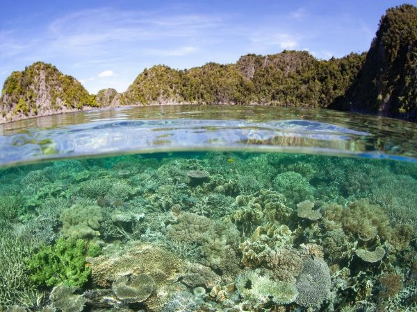 Raja Ampat è considerata una delle aree marine più straordinarie al mondo