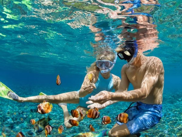 Le Hawaii rappresentano una delle destinazioni più particolari al mondo per lo snorkeling