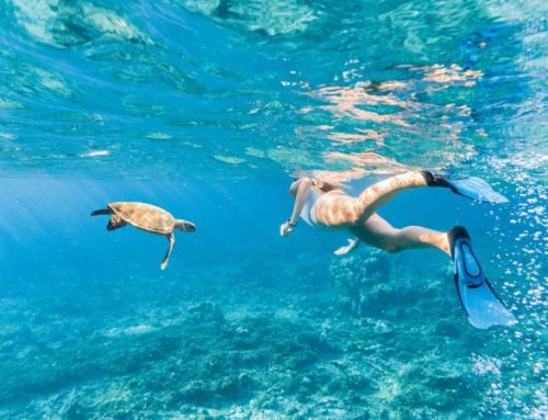 Le destinazioni perfette per snorkeling tra barriera corallina e pesci tropicali