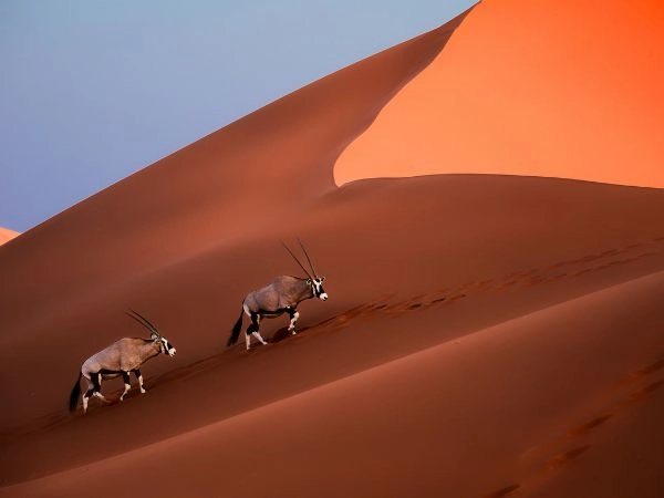 Botswana rurale, dove la vita comunitaria si intreccia con ecosistemi selvaggi e poco antropizzati.