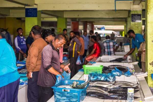 Il-fish-market-di-Male-capitale-delle-Maldive