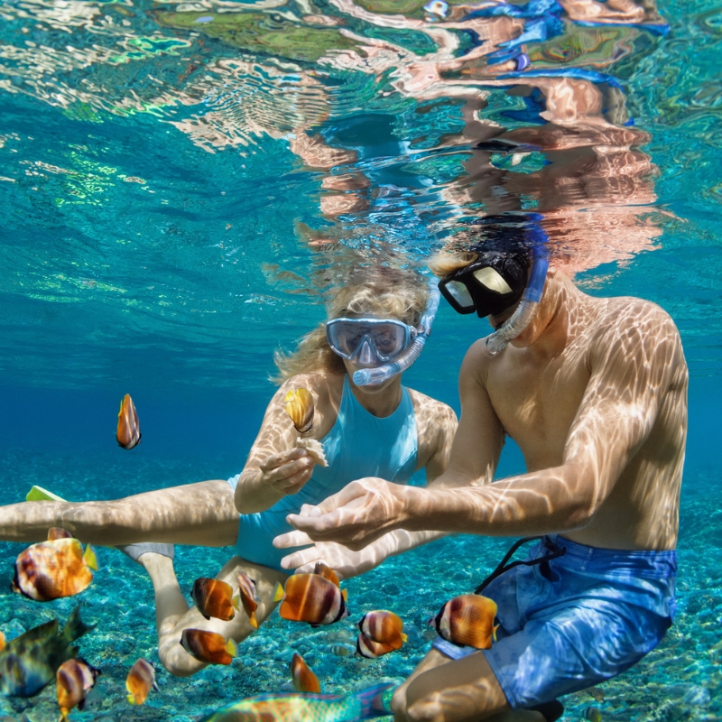 Snorkeling nella barriera corallina incontaminata di un resort alle Maldive con reef accessibile dalla spiaggia Snorkeling nella barriera corallina incontaminata di un resort alle Maldive con reef accessibile dalla spiaggia